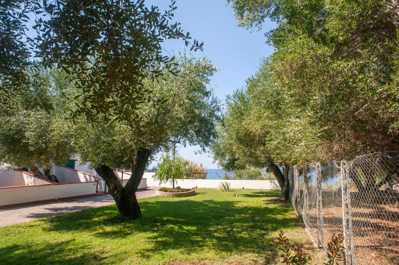 Casa Palinuro Vacanze Fronte Spiaggia Eksteriør billede