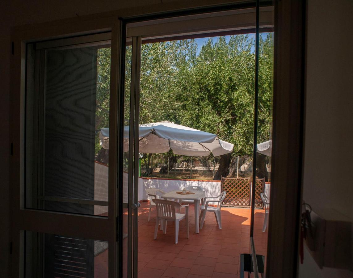 Casa Palinuro Vacanze Fronte Spiaggia Eksteriør billede