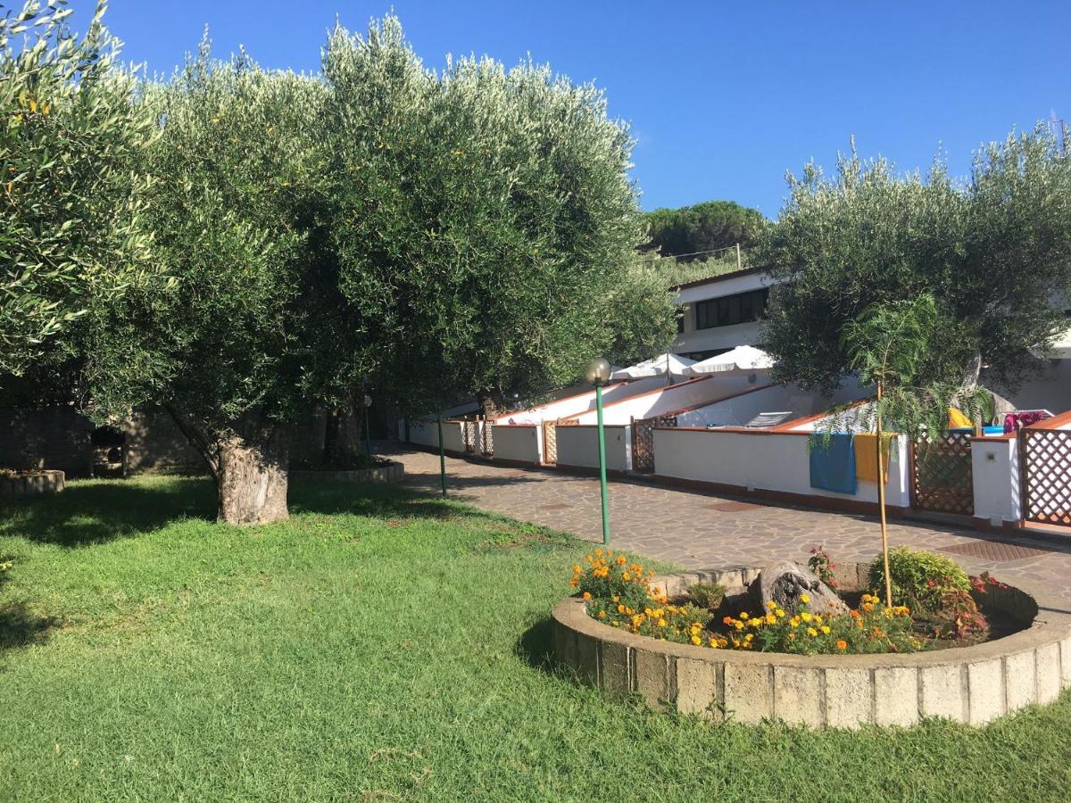 Casa Palinuro Vacanze Fronte Spiaggia Eksteriør billede